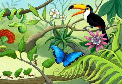 Aa